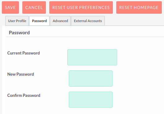 13Password tab